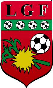 https://img.erplink.net/img/football/team/71f733faf37b796cd658b4493237a55f.png